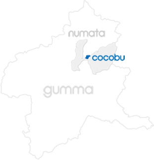 gumma_image